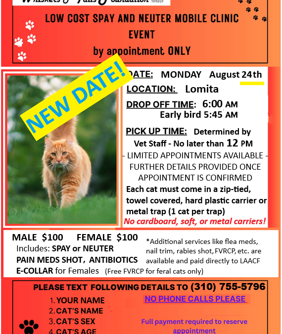 SPAY/NEUTER CLINIC Monday, Aug. 24th