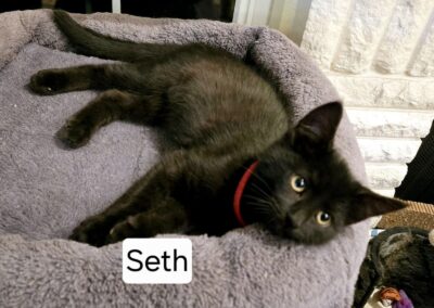 Seth