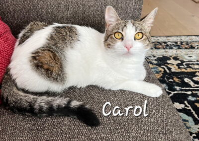 Carol