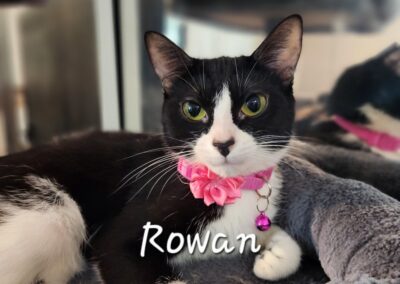 Rowan